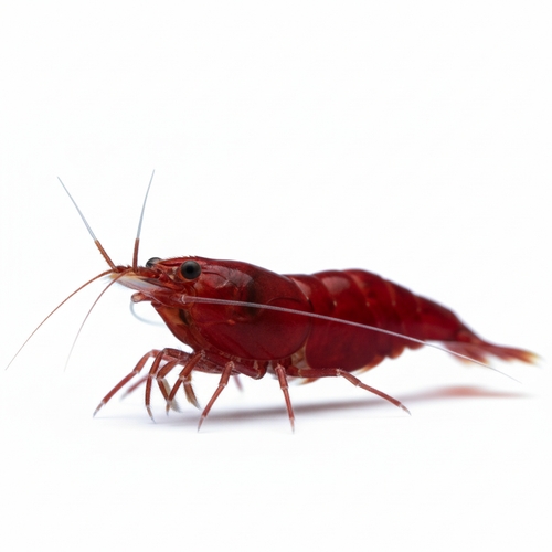 can you do a slight side angle?